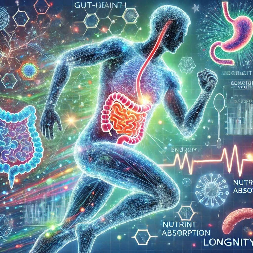 Gut Health: The Missing Link to Performance, Longevity, and Everyday Resilience